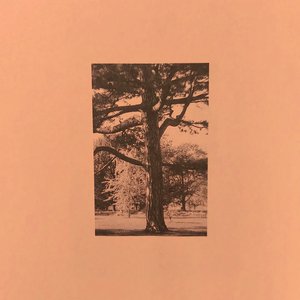 唐舞桐被❌吸乳脱内内游戏
